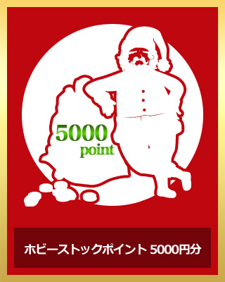 ホビーストックポイント 5000円分